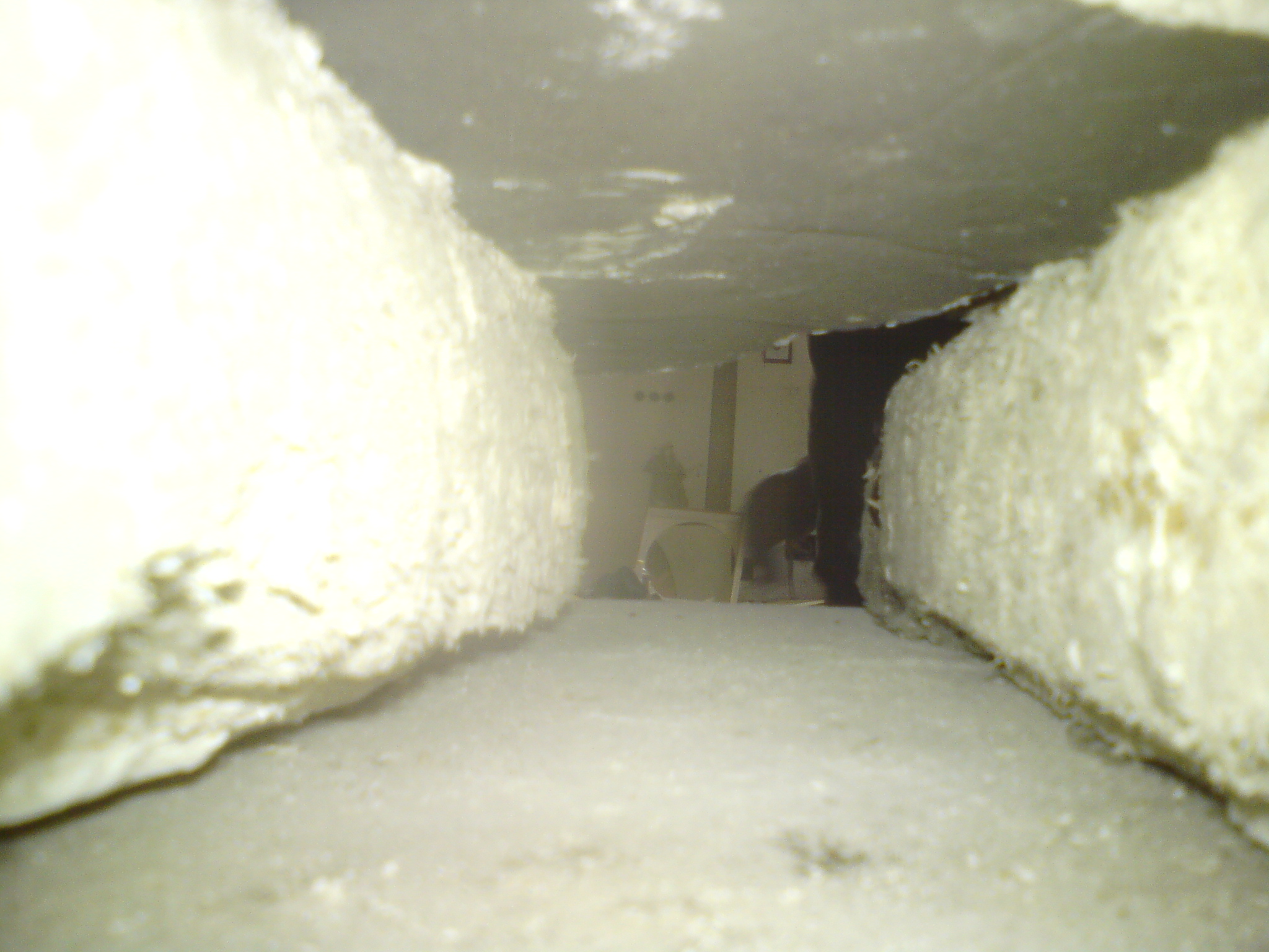 dsc01231