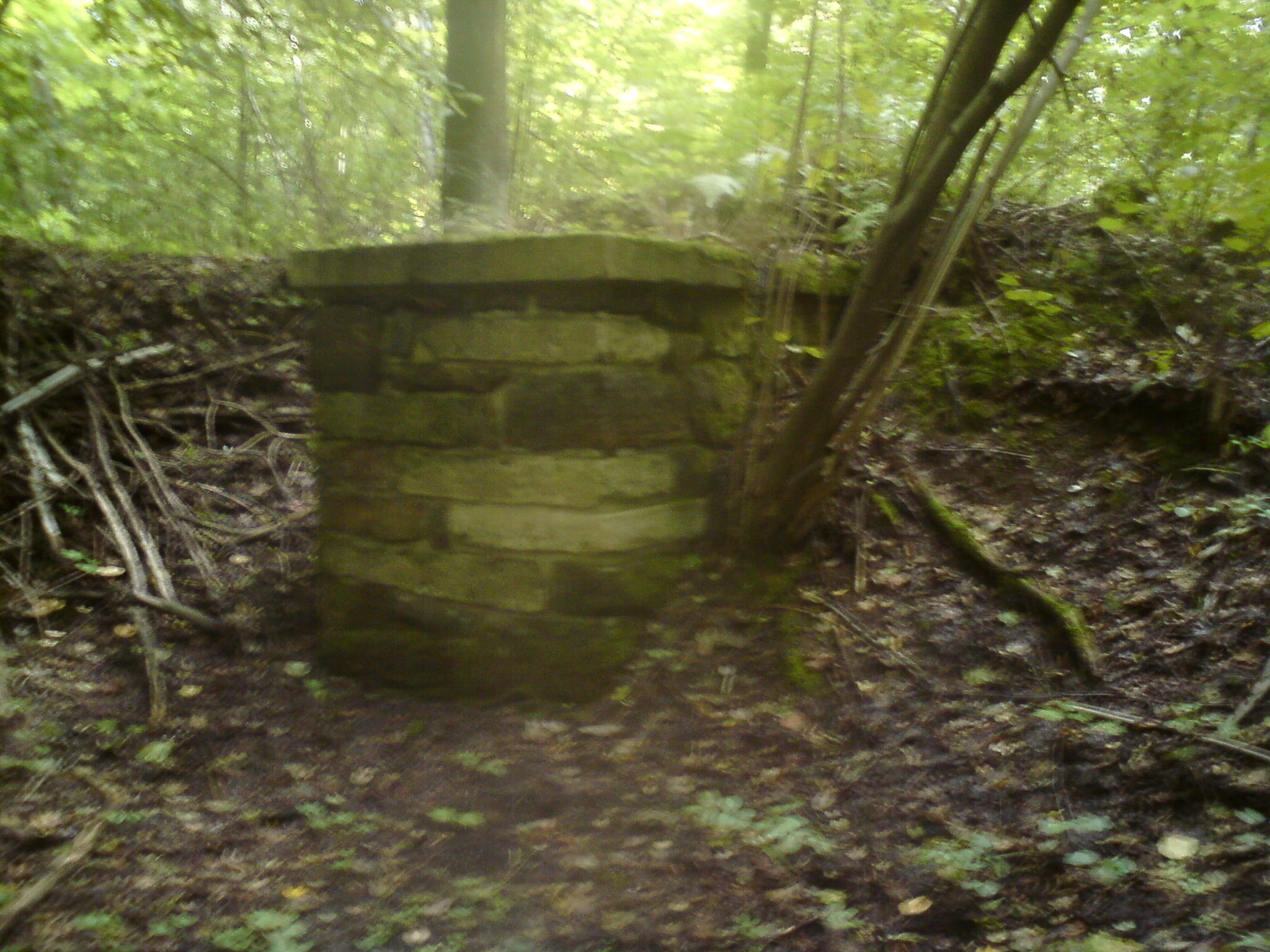 dsc01237