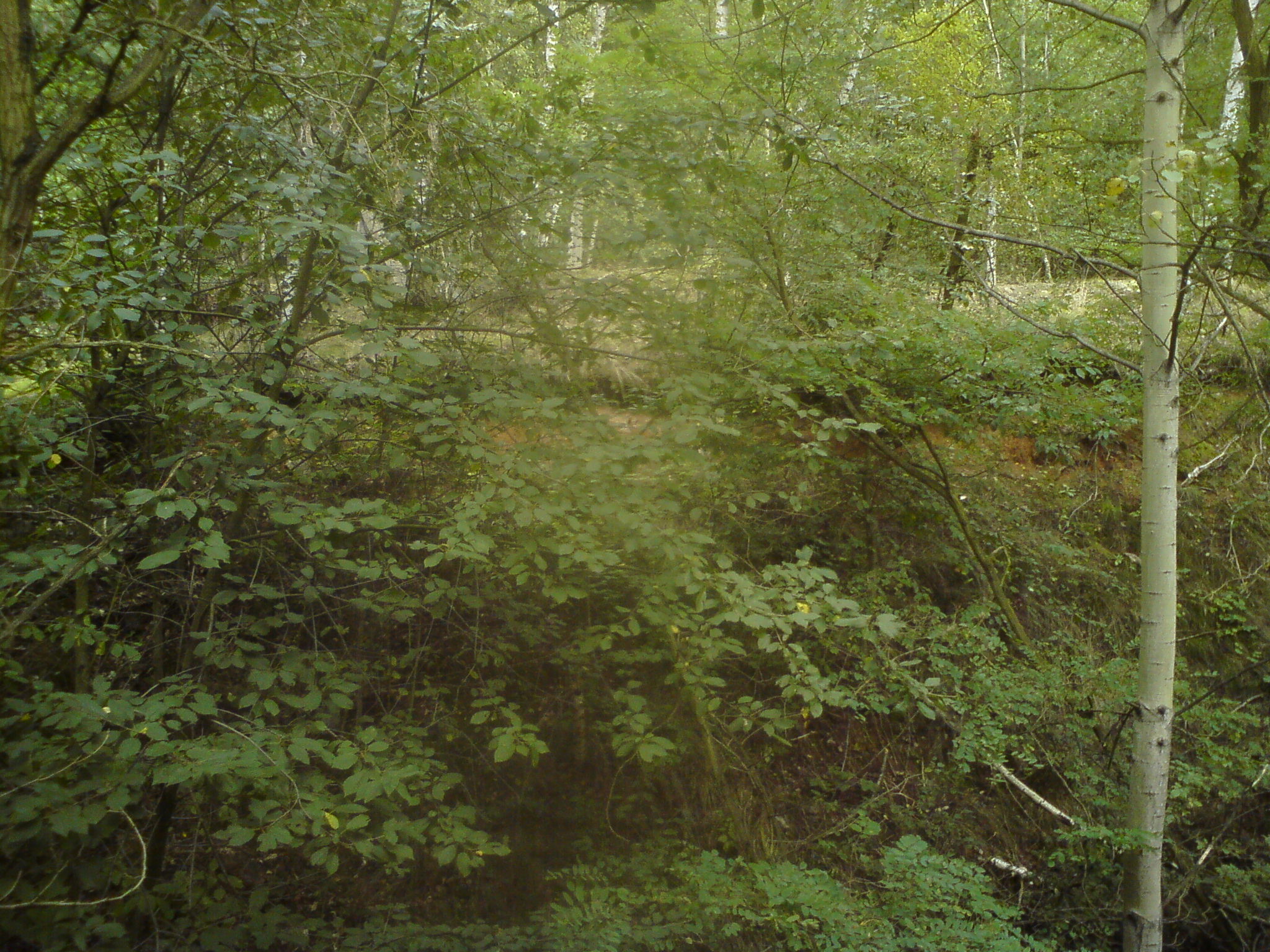dsc01227